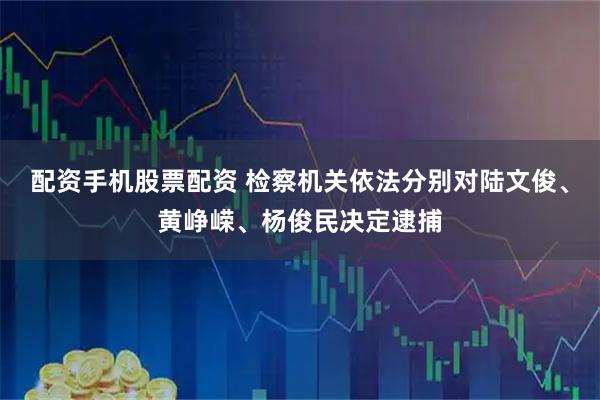 配资手机股票配资 检察机关依法分别对陆文俊、黄峥嵘、杨俊民决定逮捕