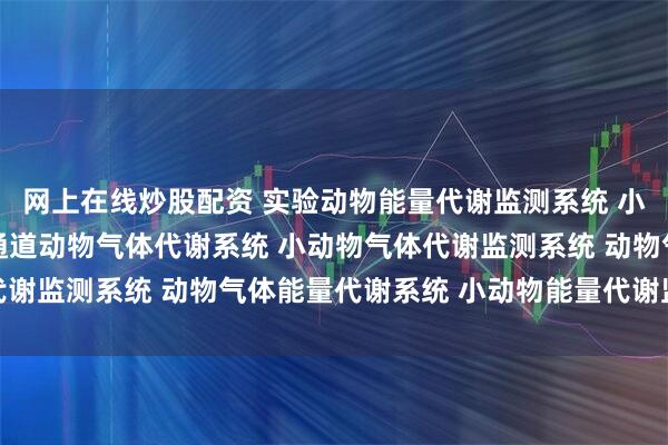网上在线炒股配资 实验动物能量代谢监测系统 小动物能量代谢系统 多通道动物气体代谢系统 小动物气体代谢监测系统 动物气体能量代谢系统 小动物能量代谢监测系统