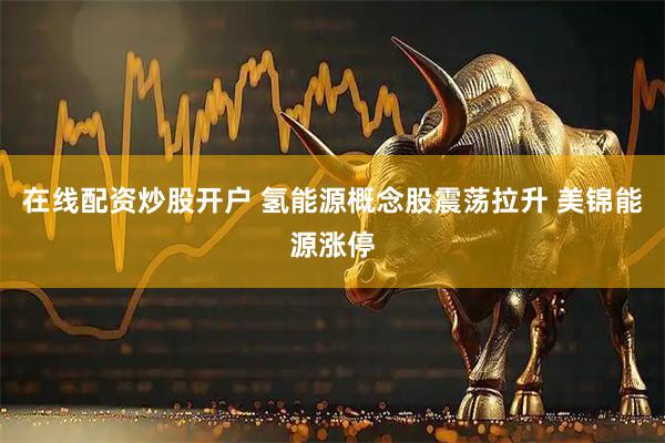 在线配资炒股开户 氢能源概念股震荡拉升 美锦能源涨停